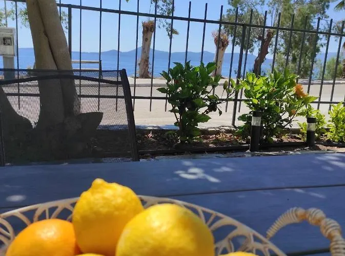 Dolora's 招待所 迈萨纳