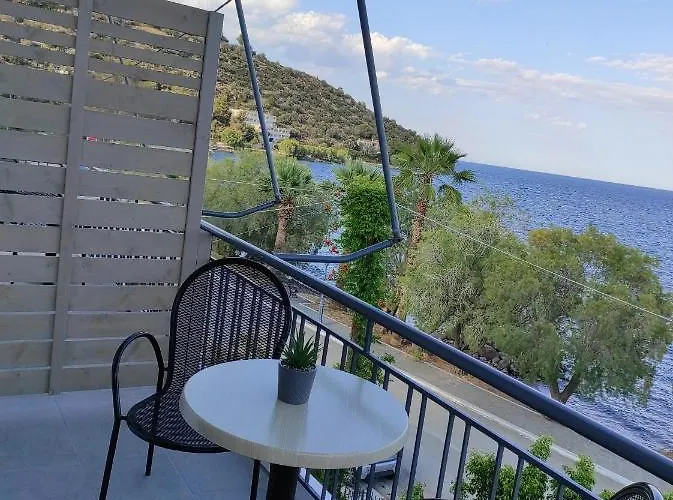 Dolora's Pensión 3*